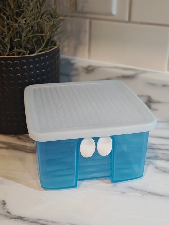 Tupperware Other - Tupperware FridgeSmart Small 4.5 Cup Produce Storage Container 3993a-4 Blue